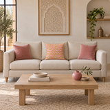 Coussin interieur 10